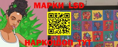 эйфоретик Гатчина