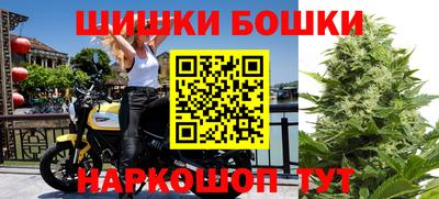 эйфоретик Гатчина