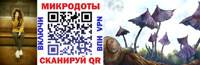 kraken зеркало  Богданович  Галлюциногенные грибы Cubensis 