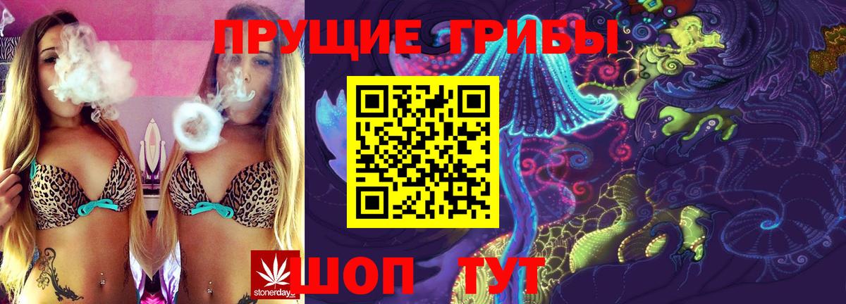 Галлюциногенные грибы Psilocybine cubensis Богданович