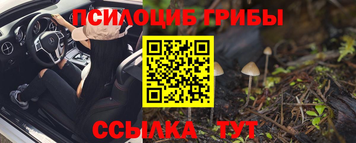 Псилоцибиновые грибы Magic Shrooms  Вход с VPN  Богданович 